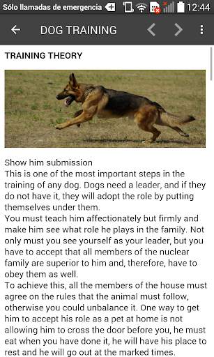 Dog Training Guide Offline screenshot 11