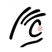 CALLector on 9Apps