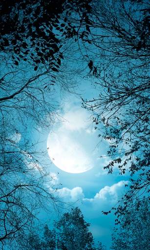 Moon Live Wallpapers screenshot 1