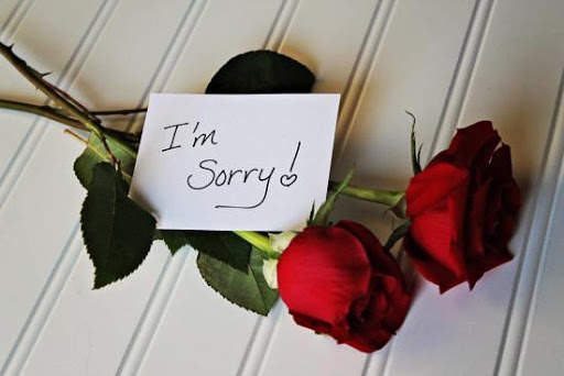 Sorry Images screenshot 5