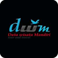 DWM Travel logo