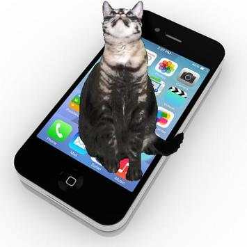 cat on screen - trying to grab your Android icons screenshot 1