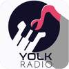 Music Mate Yolk 5.0