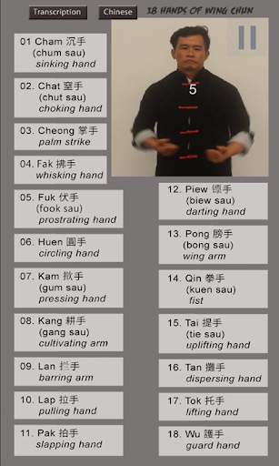 Wing Chun Hands screenshot 2