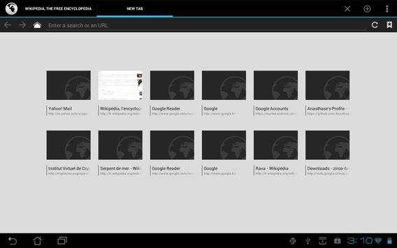 Tint Browser screenshot 3