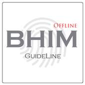 UPI pay payment BHIM Guide 1.0