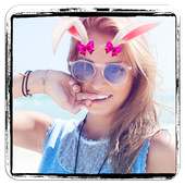 Snap Pic Collage Photo Editor on 9Apps