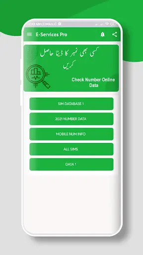 E-Services Pak Pro | Owner Details | RGM Database screenshot 2
