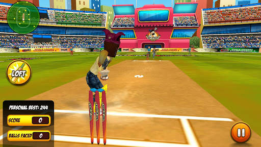 Bat Attack Cricket Multiplayer screenshot 5