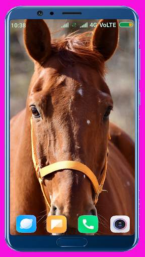 Horse Wallpaper screenshot 10