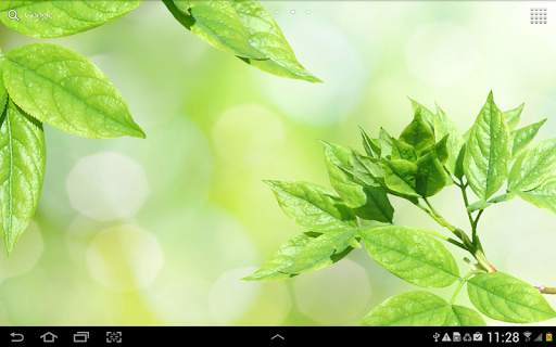Leaves Live Wallpaper screenshot 6