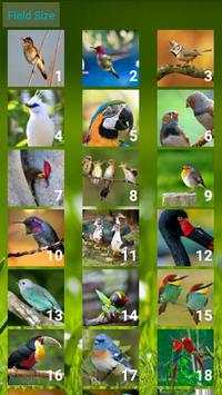 Birds Puzzle screenshot 6