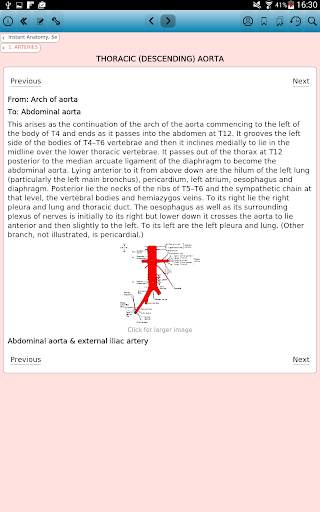 Instant Anatomy, 5th Edition screenshot 8
