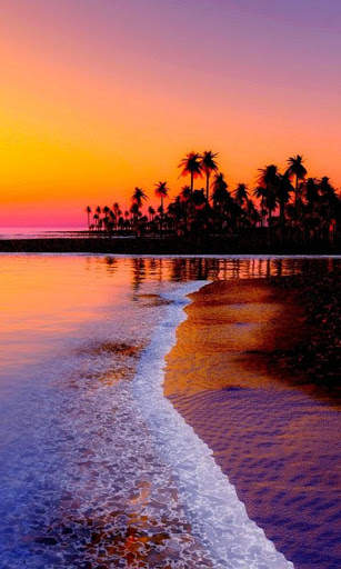 HD Beach Sunset Live Wallpaper screenshot 10