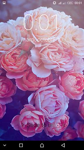Roses Flowers Spring Lock Screen screenshot 8