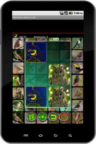 True Birds Memory Game Free स्क्रीनशॉट 2