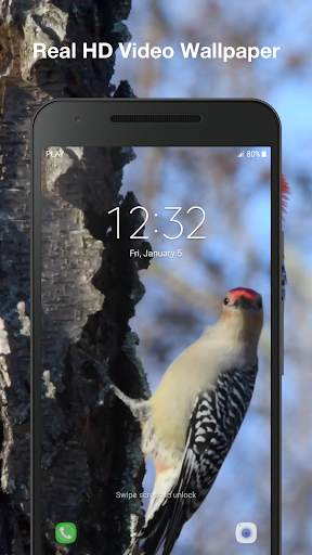 Bird Live Wallpaper PRO screenshot 3