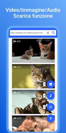 Browser Web & Scarica video screenshot 3