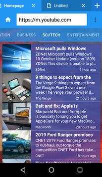 Flash browser screenshot 3