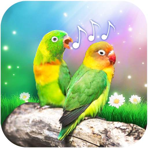 Bird Sounds and Ringtones 2.0.0