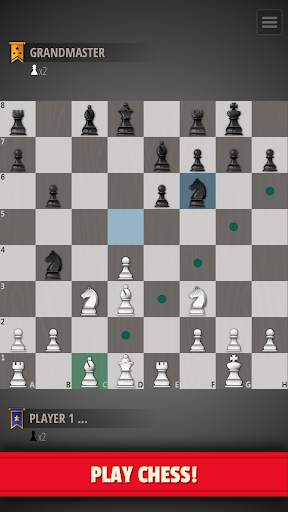 Chess Puzzles - Board game screenshot 1