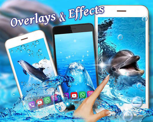 Dolphins Lovely Live Wallpaper screenshot 2