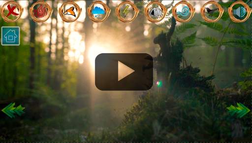 Native American Indians Spiritual Shamanic Music screenshot 3
