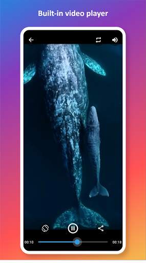 Video downloader for Instagram screenshot 5
