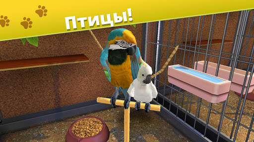 Pet World - приют для животных скриншот 2