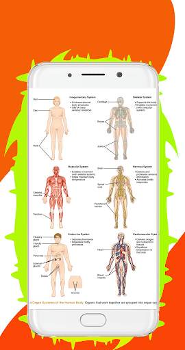 Human Body System – All Body System Offline screenshot 7