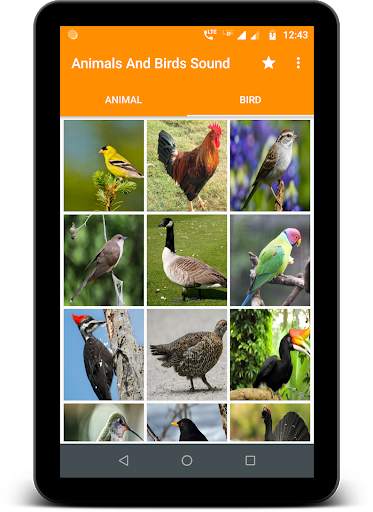 Animals and Birds Sound स्क्रीनशॉट 8