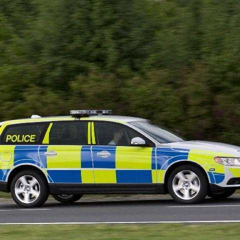 Police Car Free Game Puzzles Jigsaw screenshot 5