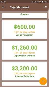 My Cash Flow screenshot 3