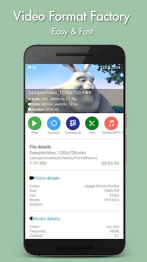 Video Format Factory screenshot 1