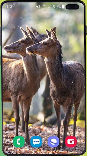 Deer Wallpaper HD screenshot 10