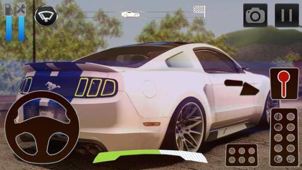 Car Driving Simulator Ford screenshot 1