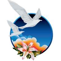 New Image International logo