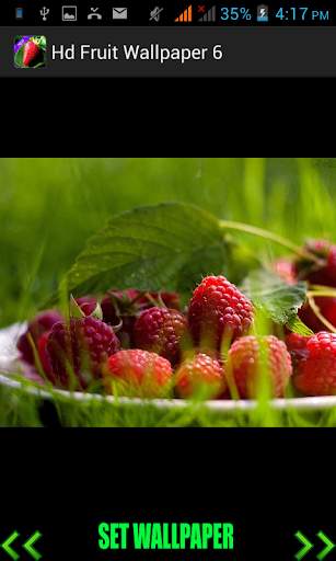 Hd Fruit Wallpaper screenshot 6