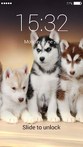 Husky Lock Screen 7 تصوير الشاشة