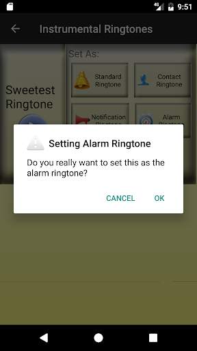 Instrumental Ringtones screenshot 5