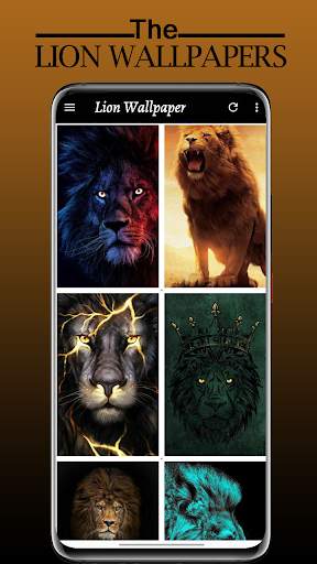 Lion Wallpaper Full HD - Sher Ka Photo Wallpaper screenshot 4