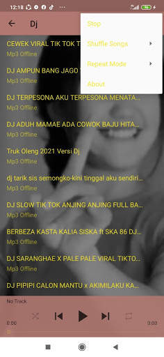Dj Cewek Viral TIKTOK Terngiang ngiang 2021 screenshot 6