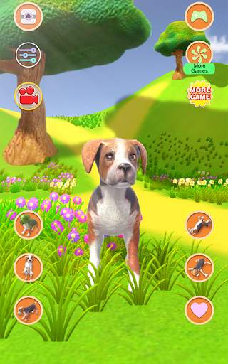 Talking Dog Crazy screenshot 13