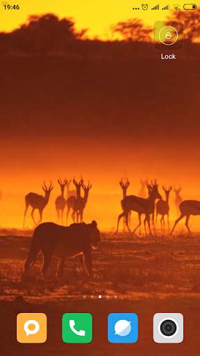 Safari HD Wallpaper screenshot 8