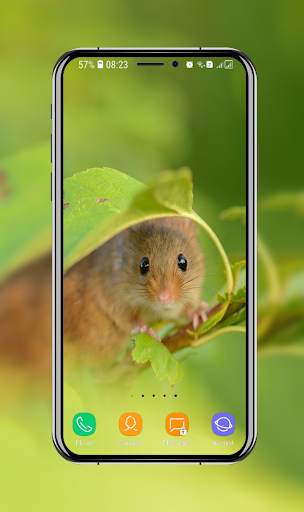 Cute Hamster Wallpaper screenshot 5