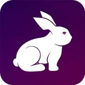 Rabbit VPN - Fast Hotspot & Unlimited Secure Proxy 2.0