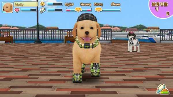 My Dog My Room 2 screenshot 18