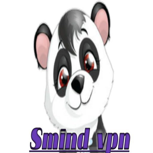 PN VPN icon