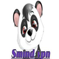 PN VPN logo