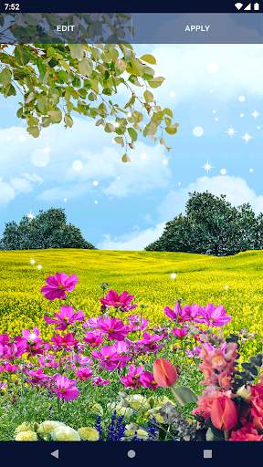 Flowers Live Wallpaper screenshot 8